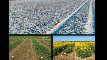 Zimotrwałość Podstawa naszego sukcesu.