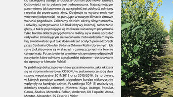 TOP 15 – najlepiej zimujące odmiany rzepaku.