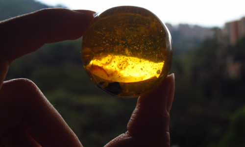 BERNSTEIN F1 - …ODMIANA Z MOCĄ - PEŁEN PAKIET ODPORNOŚCI 