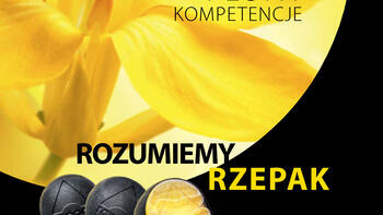 Broszura o firmie RAPOOL