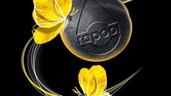 Katalog odmian rzepaku ozimego 2023 - wersja mini