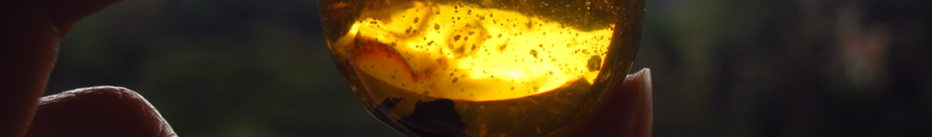 BERNSTEIN F1 - …ODMIANA Z MOCĄ - PEŁEN PAKIET ODPORNOŚCI 