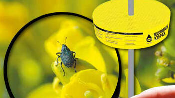 Monitoring szkodników