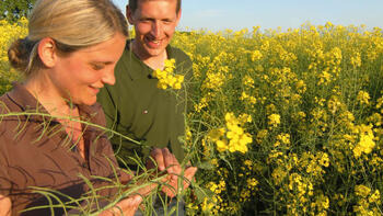 Odmiany mieszańcowe RAPOOL To już 20 lat