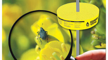 Monitoring szkodników