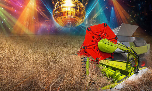 TRAVOLTA F1 - ...SUPERGWIAZDA WŚRÓD ODMIAN RZEPAKU